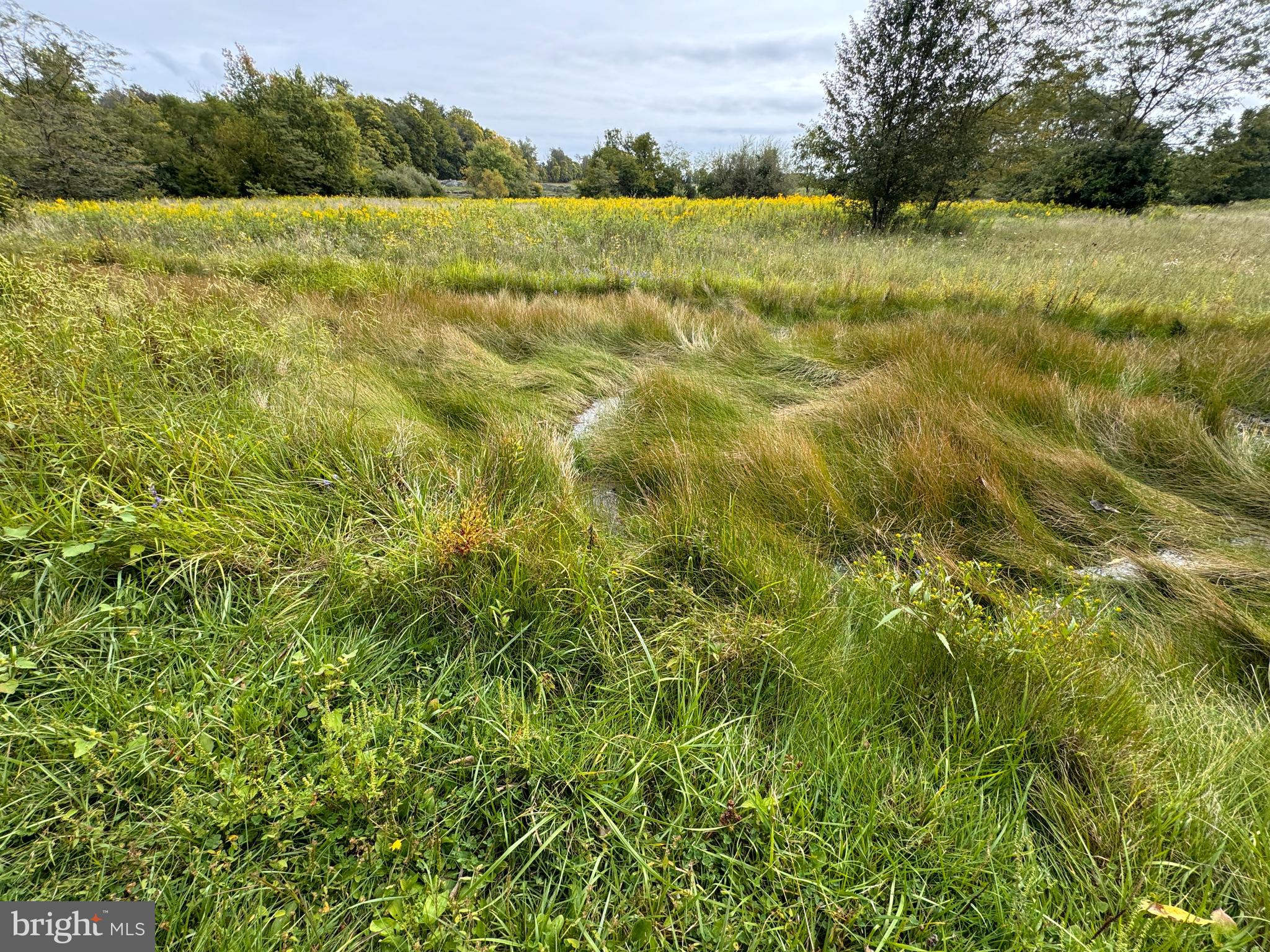 SUMMIT POINT - Residential