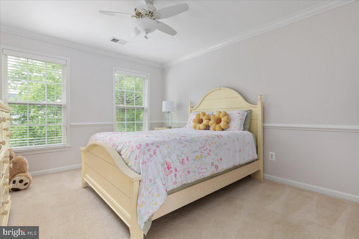 NEW TOWN MEADOWS - Residential