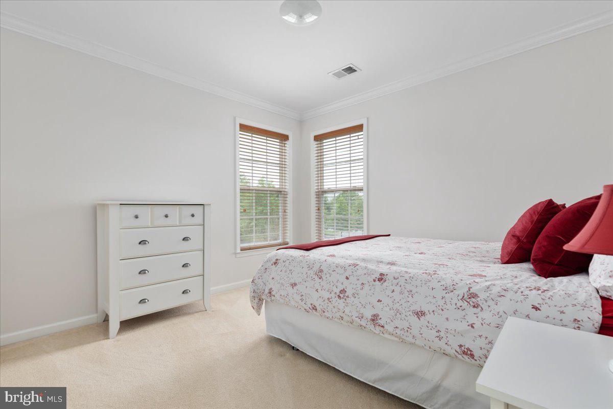 NEW TOWN MEADOWS - Residential