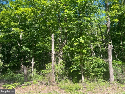 Vacant Land For Sale - Cold Run Valley Road<br/> Morgan County, BERKELEY SPRINGS, WV 25411