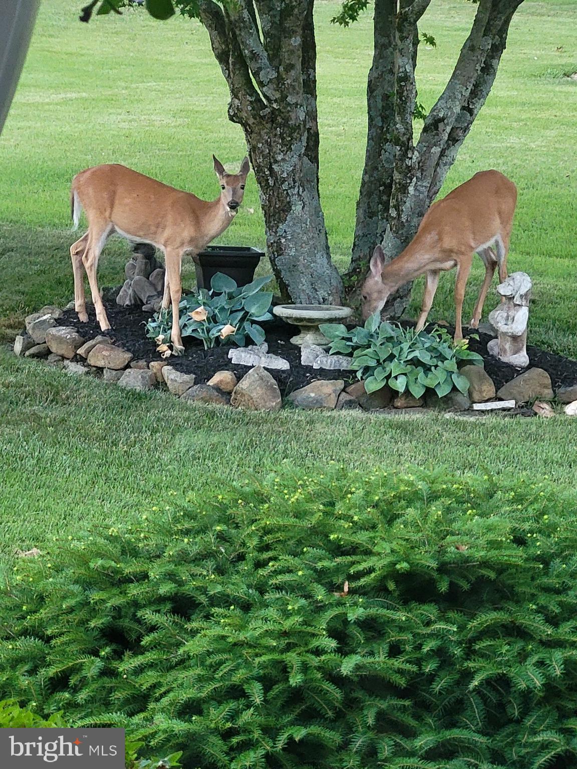 ADAMS HEIGHTS - Residential