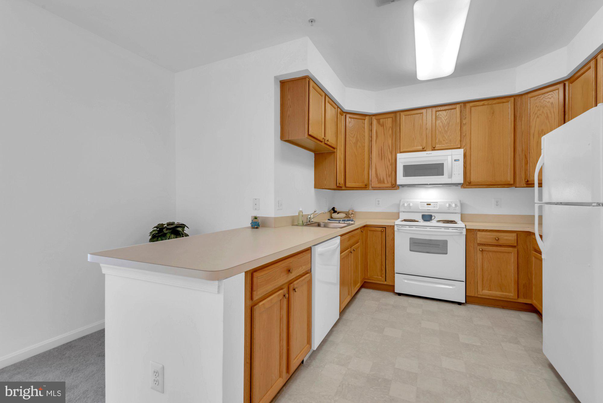 VILLAGE AT WAUGH CHAPEL - Residential