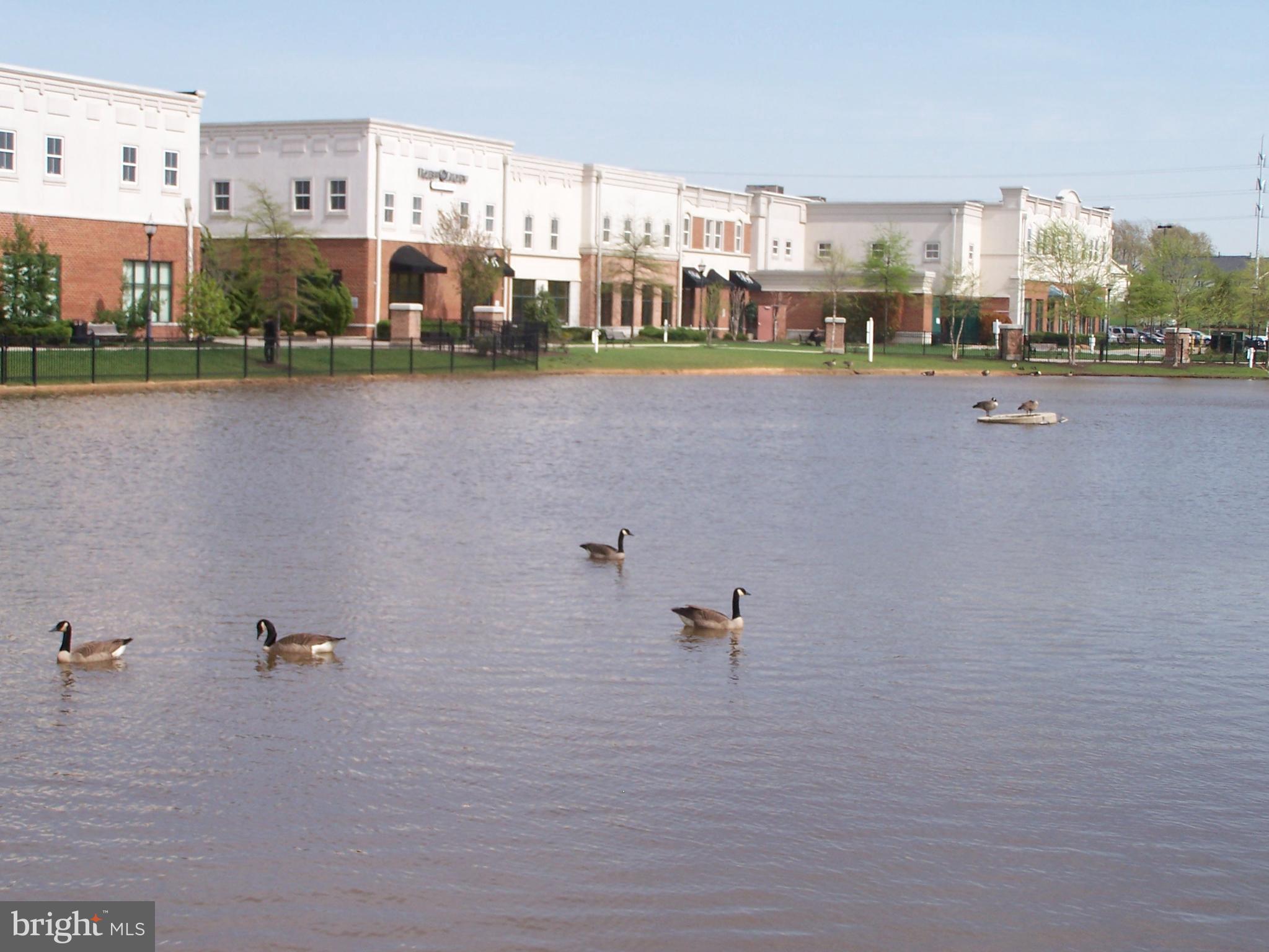 VILLAGE AT WAUGH CHAPEL - Residential