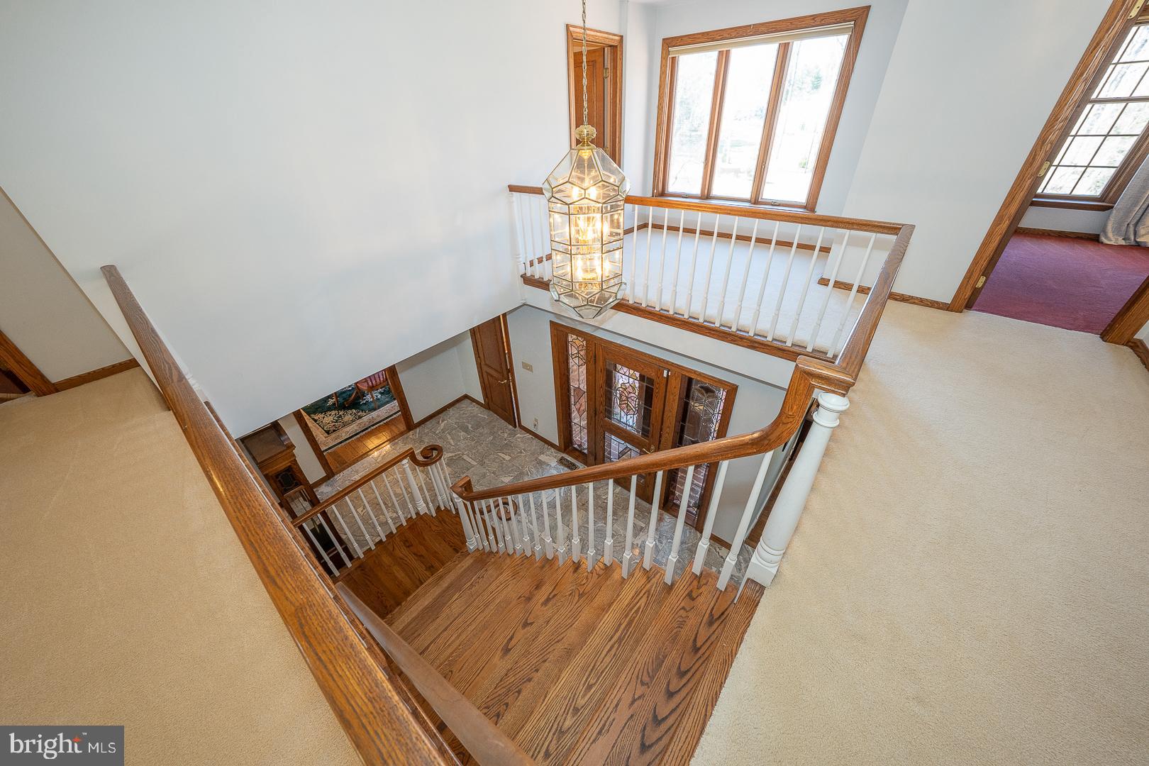 RADNOR HUNT - Residential