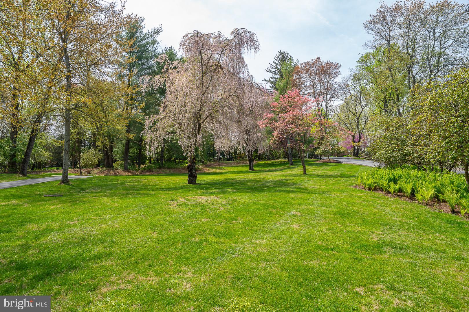 RADNOR HUNT - Residential