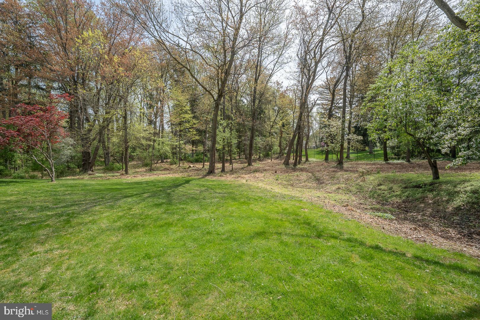 RADNOR HUNT - Residential