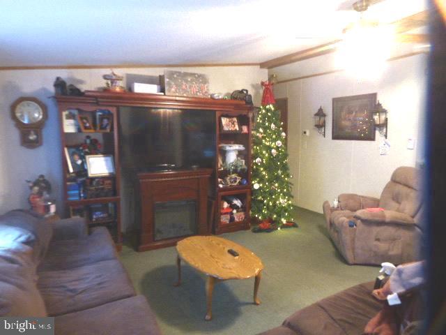 380 ANTHONY BOHRER ROAD