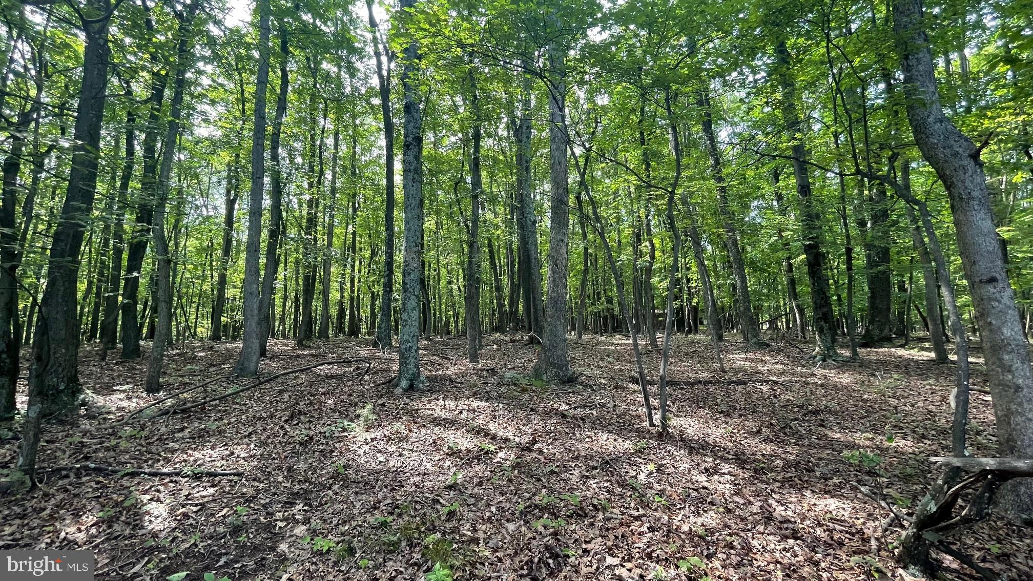 SPRING GAP MOUNTAIN - Residential