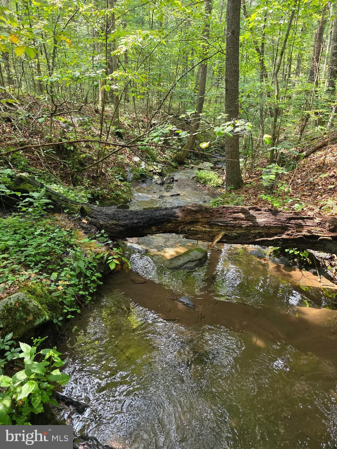 574 Mountain Slope Ln. Ln, Fort Valley, VA, 22652
