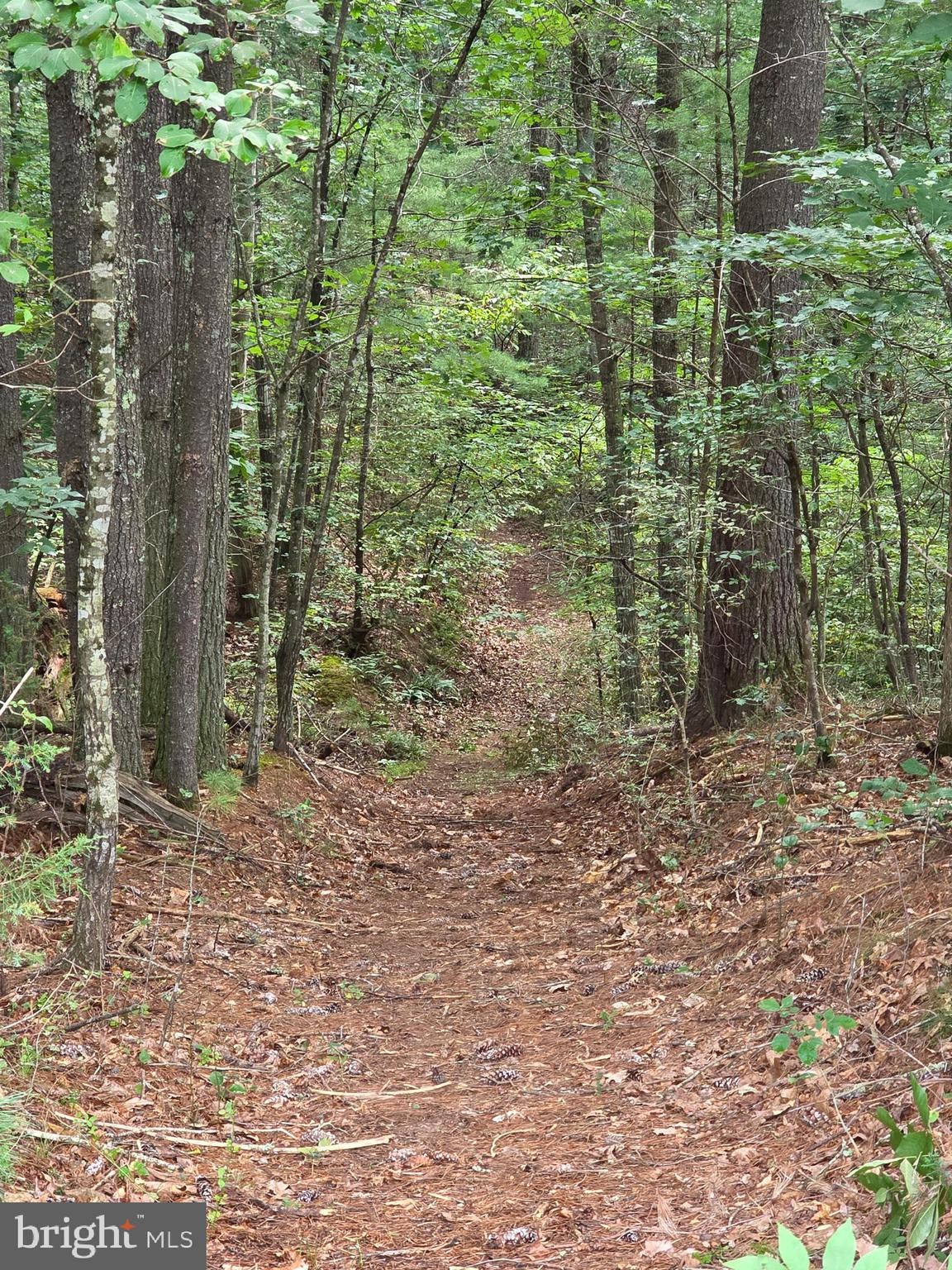 574 MOUNTAIN SLOPE LN.