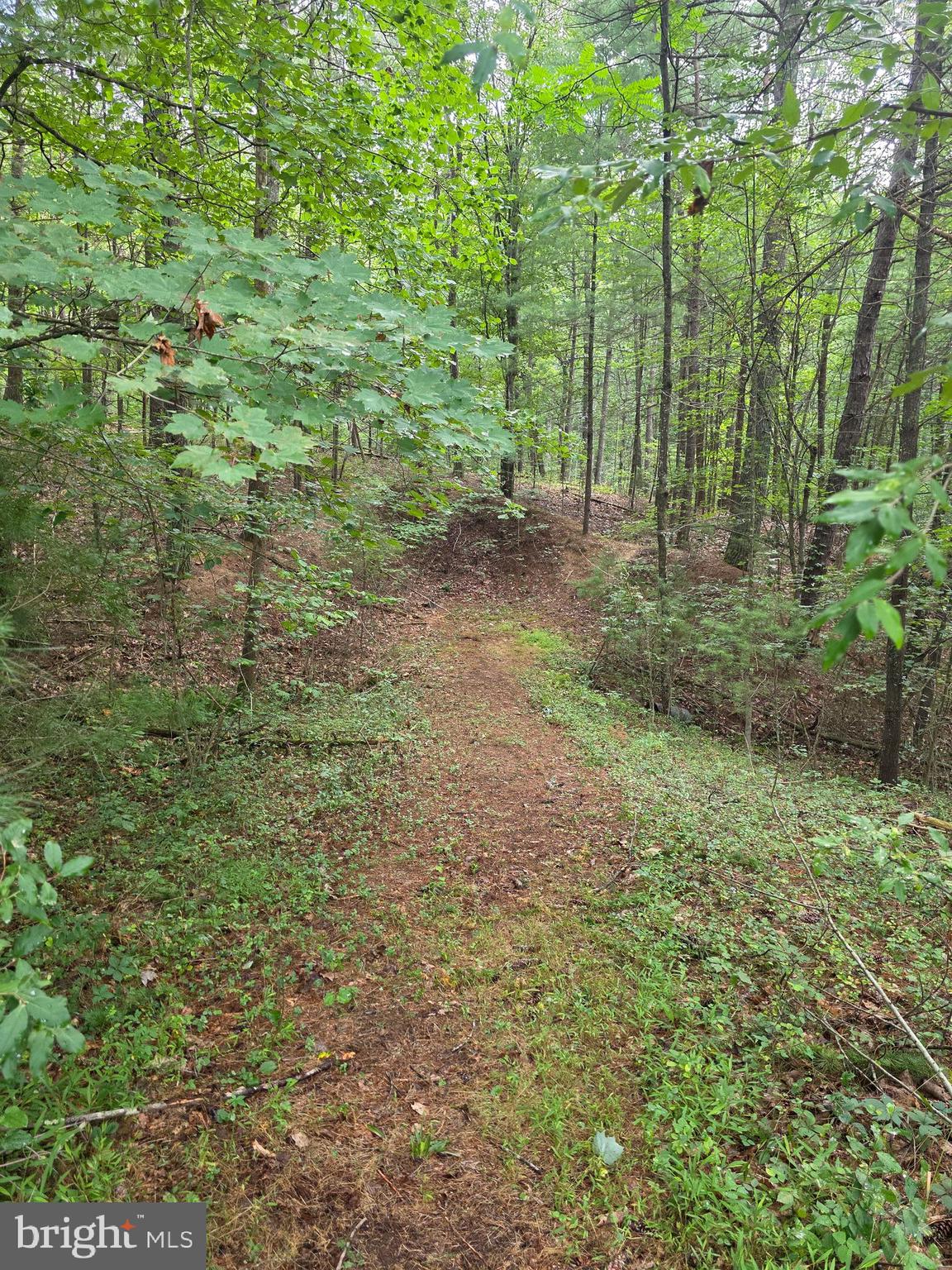 574 MOUNTAIN SLOPE LN.