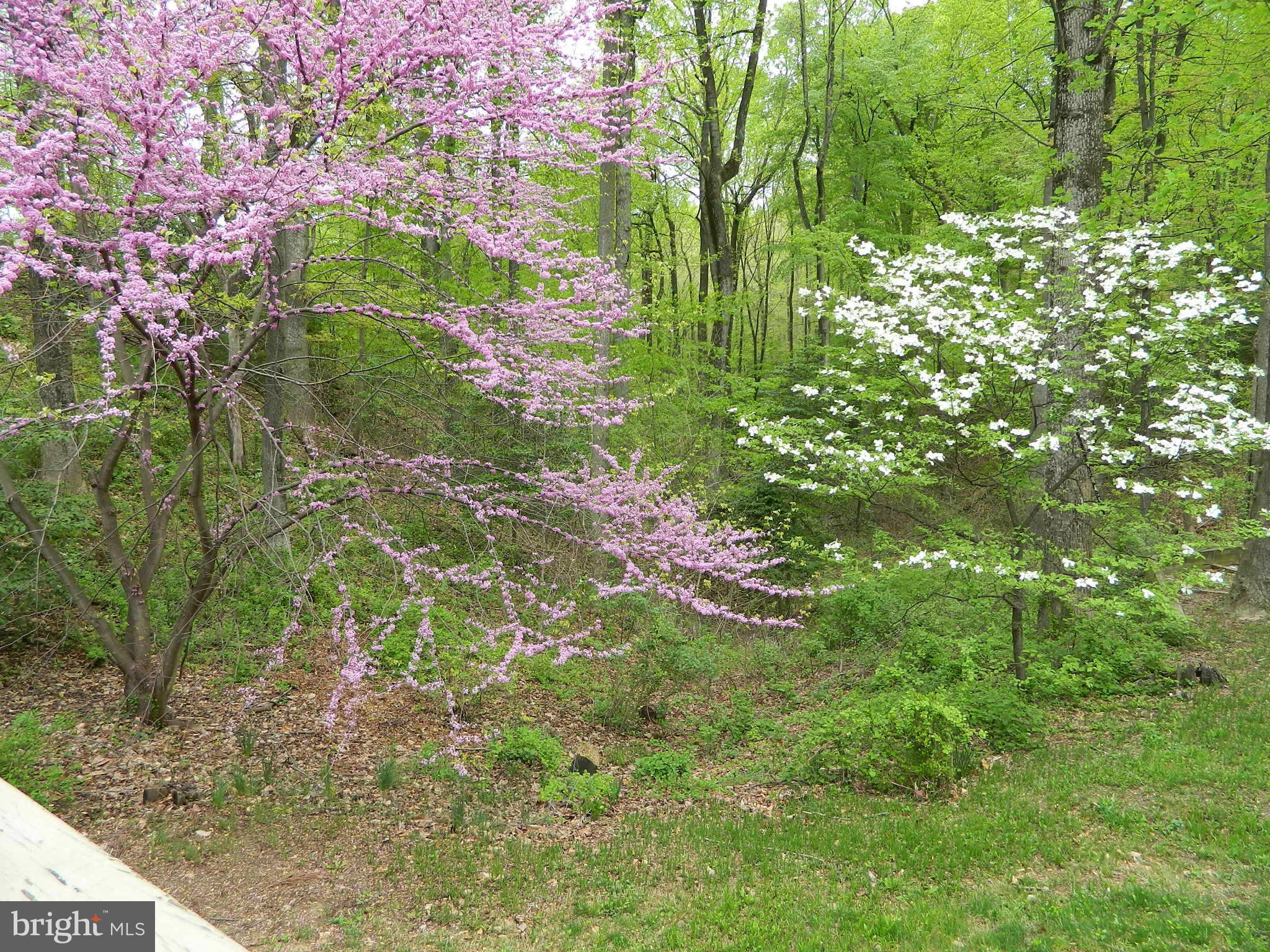 HARBOUR GLEN - Residential Lease