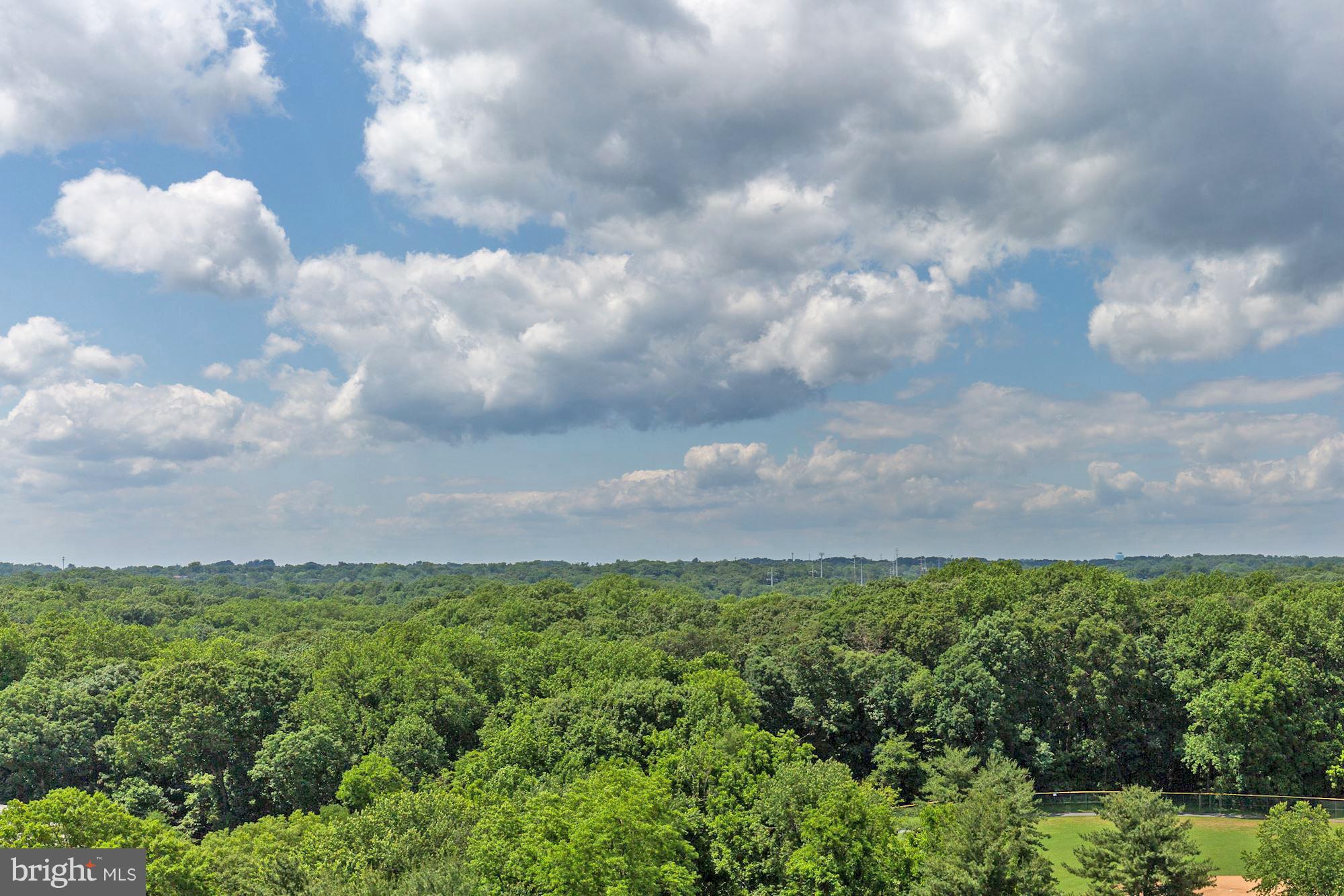 CHELSEA TOWERS - Residential Lease