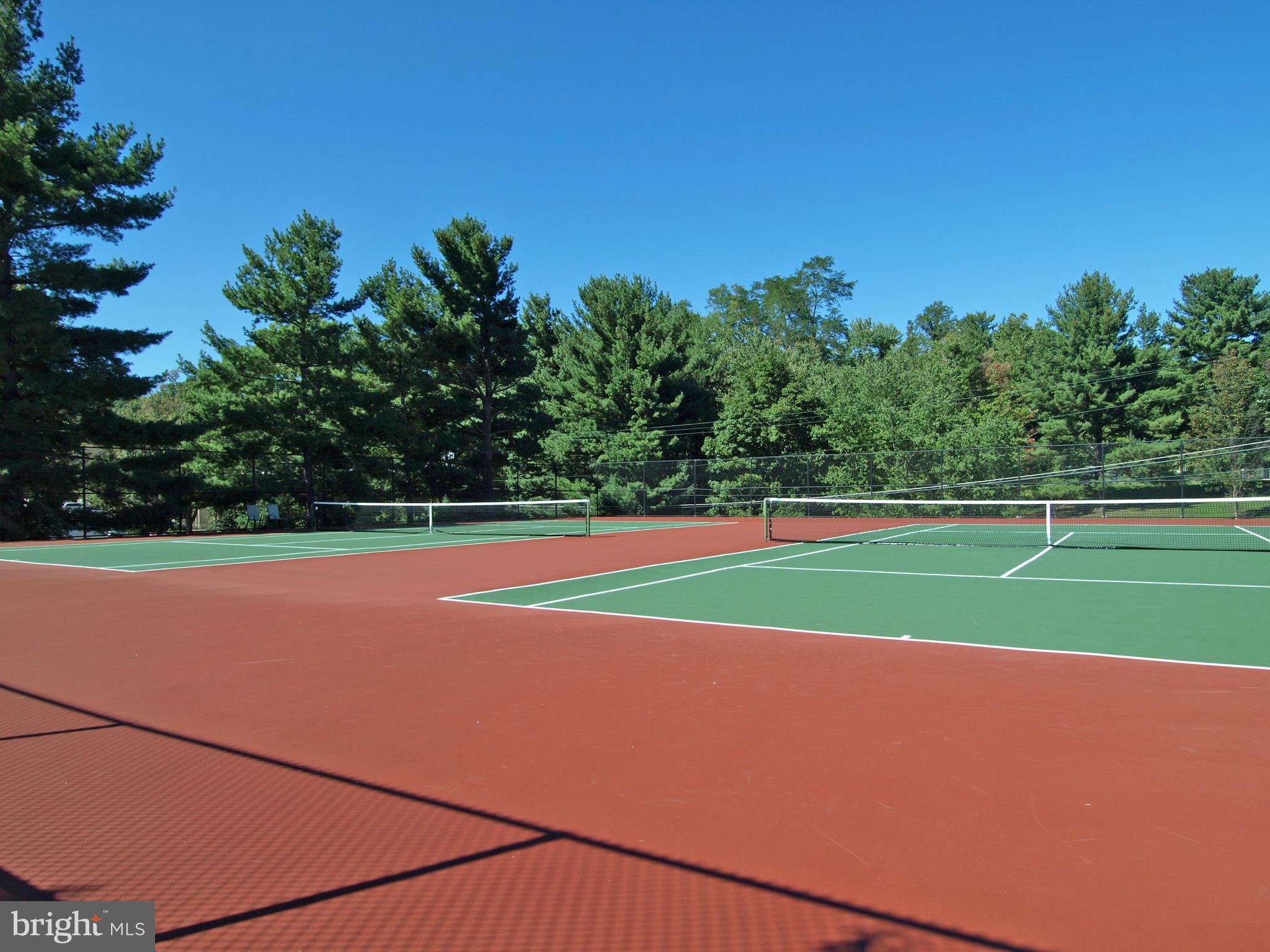 CHELSEA TOWERS - Residential Lease