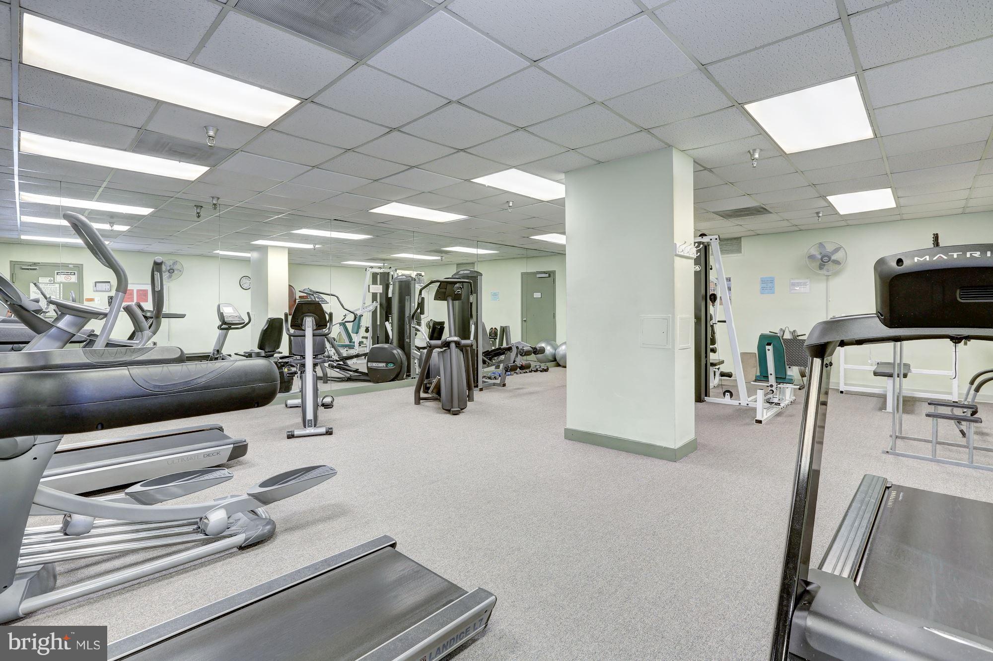 CHELSEA TOWERS - Residential Lease