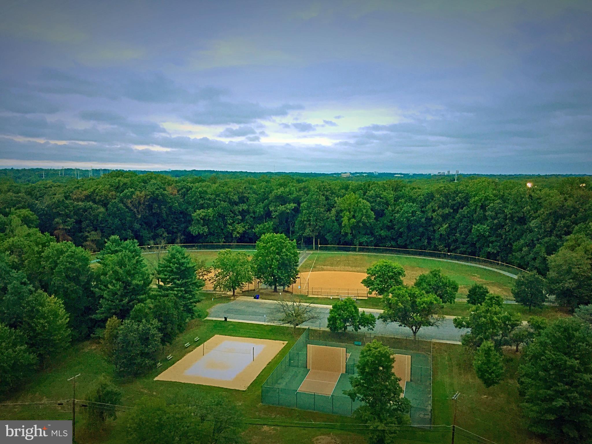 CHELSEA TOWERS - Residential Lease