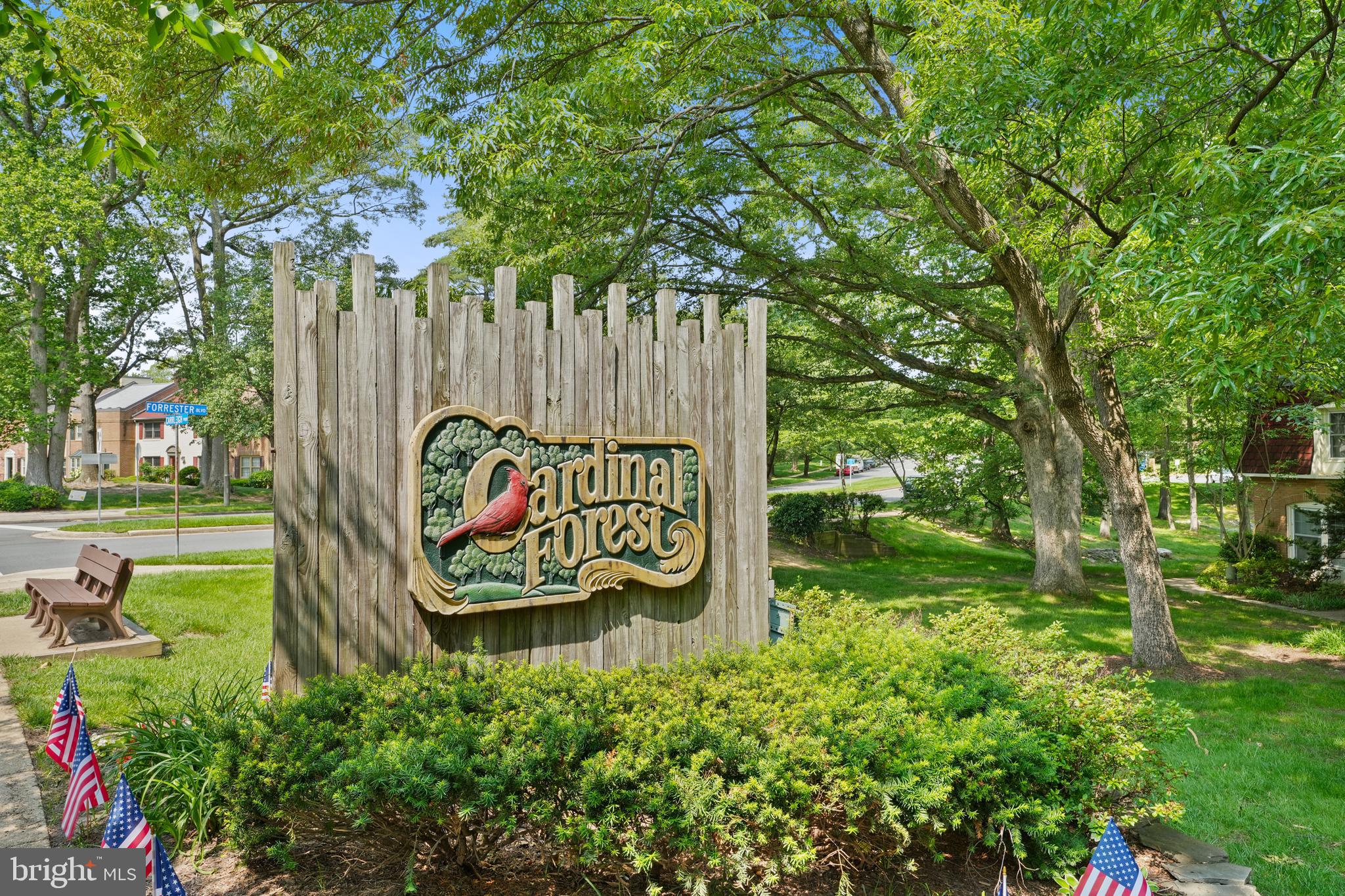 CARDINAL FOREST - Residential