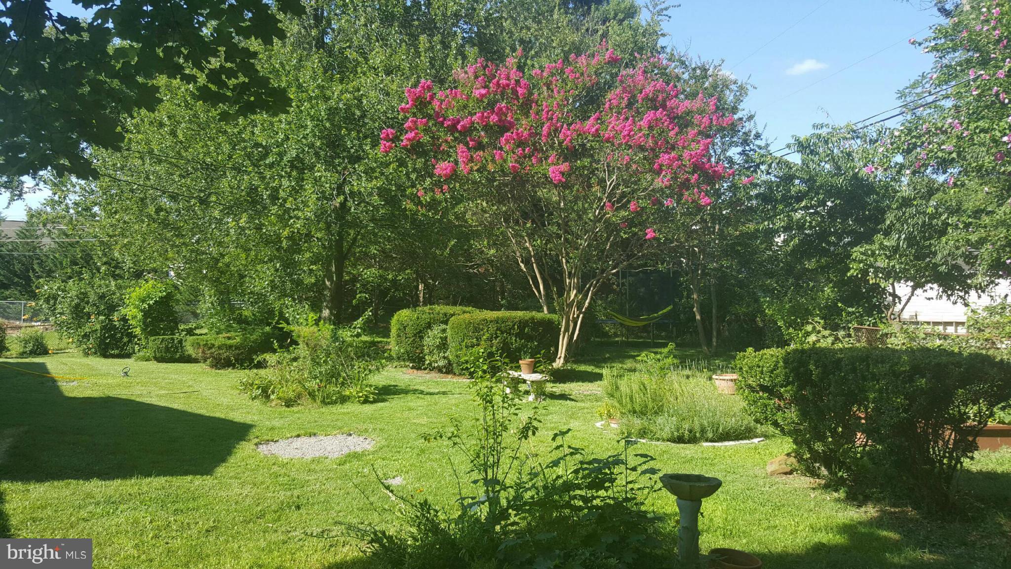 COLONY RIDGE - Residential Lease