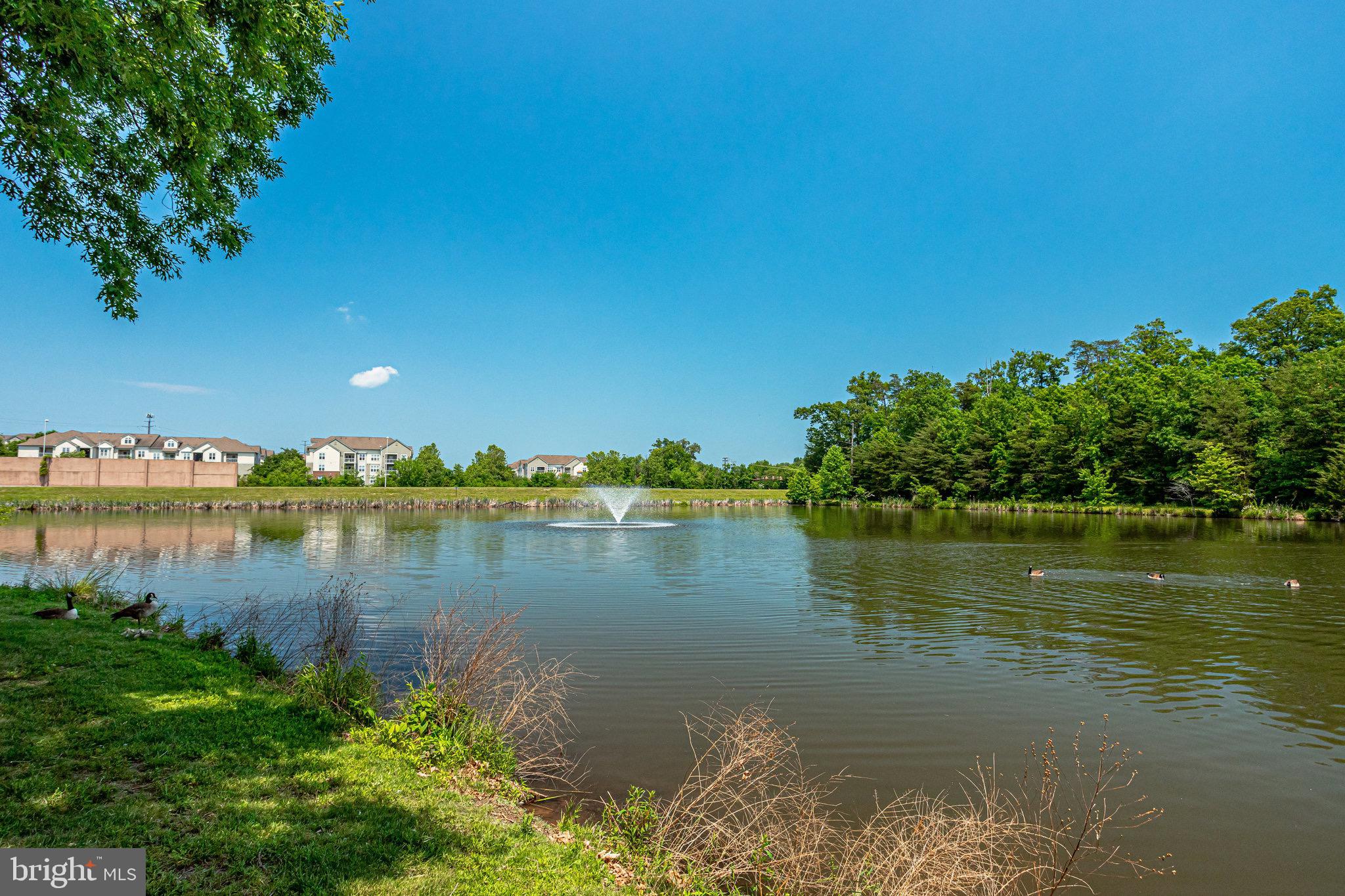 EDGEWATER AT TOWN CENTER - Residential Lease