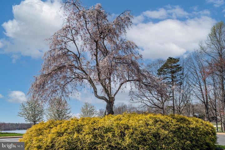 FAWN LAKE - Residential