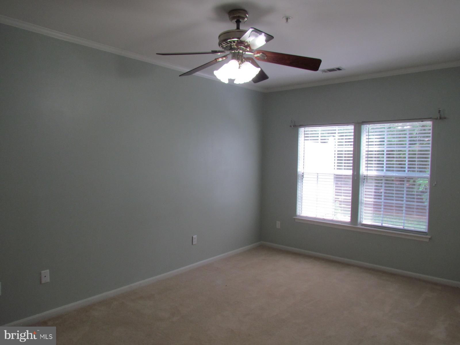 CEDAR GROVE AT CROFTON - Residential