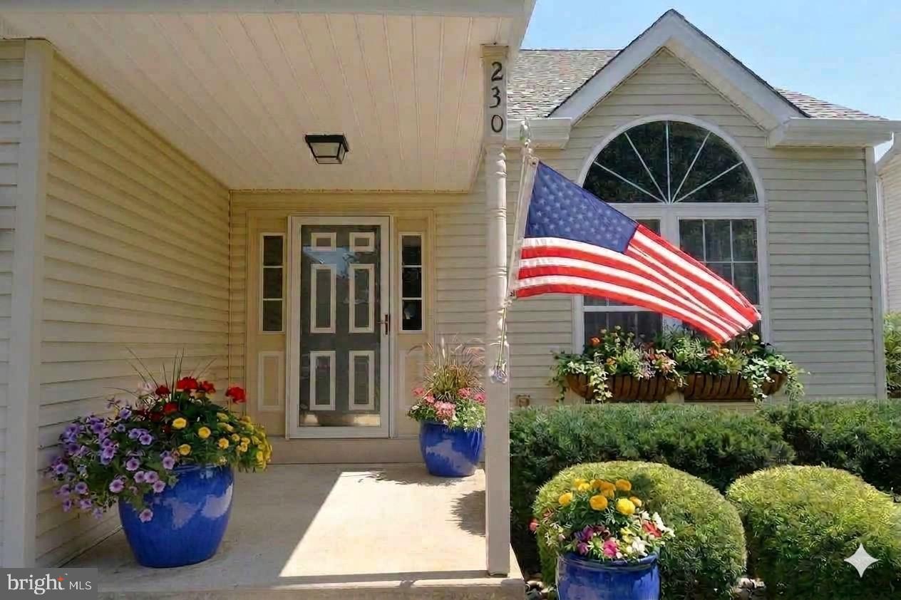 230 FOREST PARK DRIVE