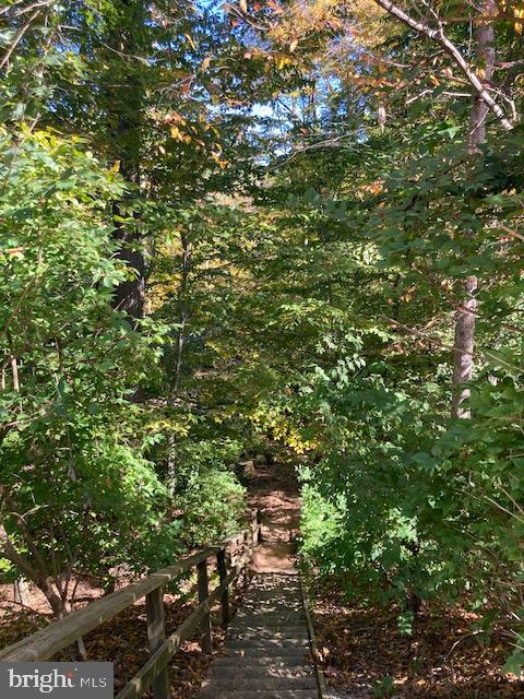 CARDINAL SQUARE - Residential Lease