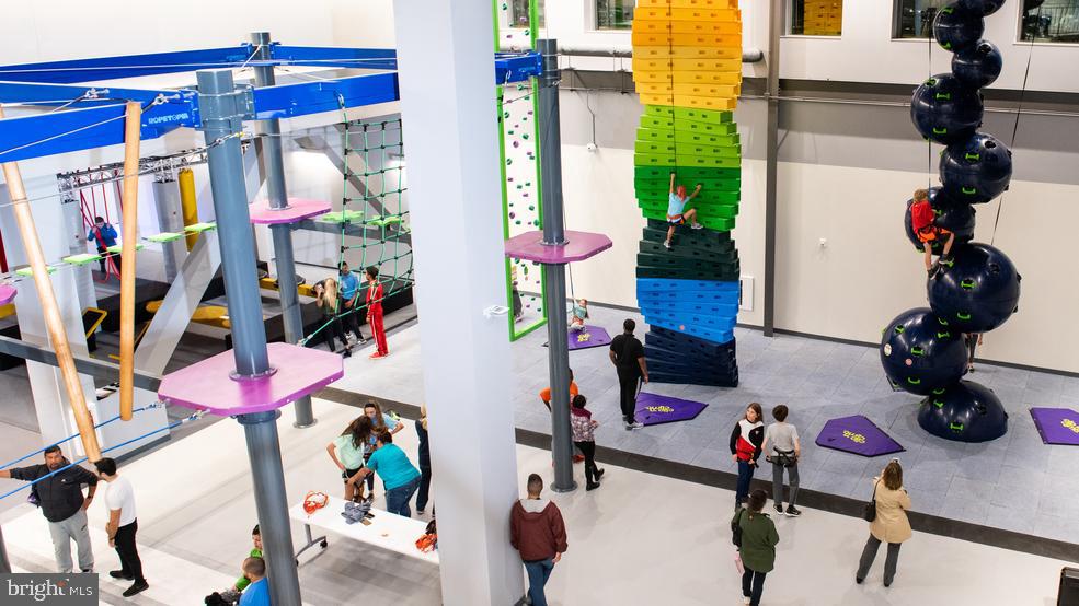 CARDINAL SQUARE - Residential Lease