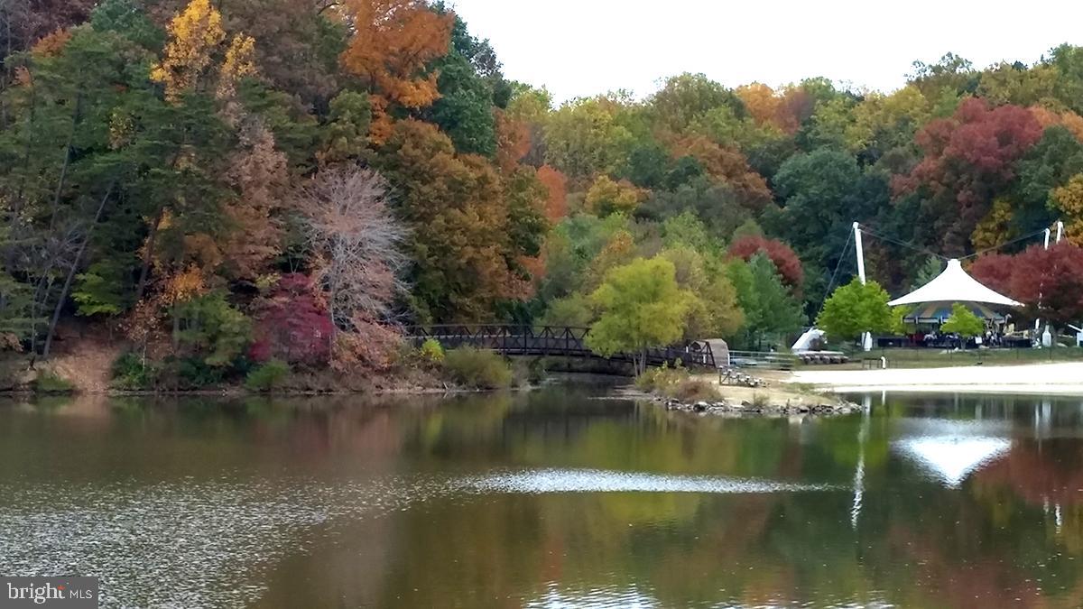 CARDINAL SQUARE - Residential Lease