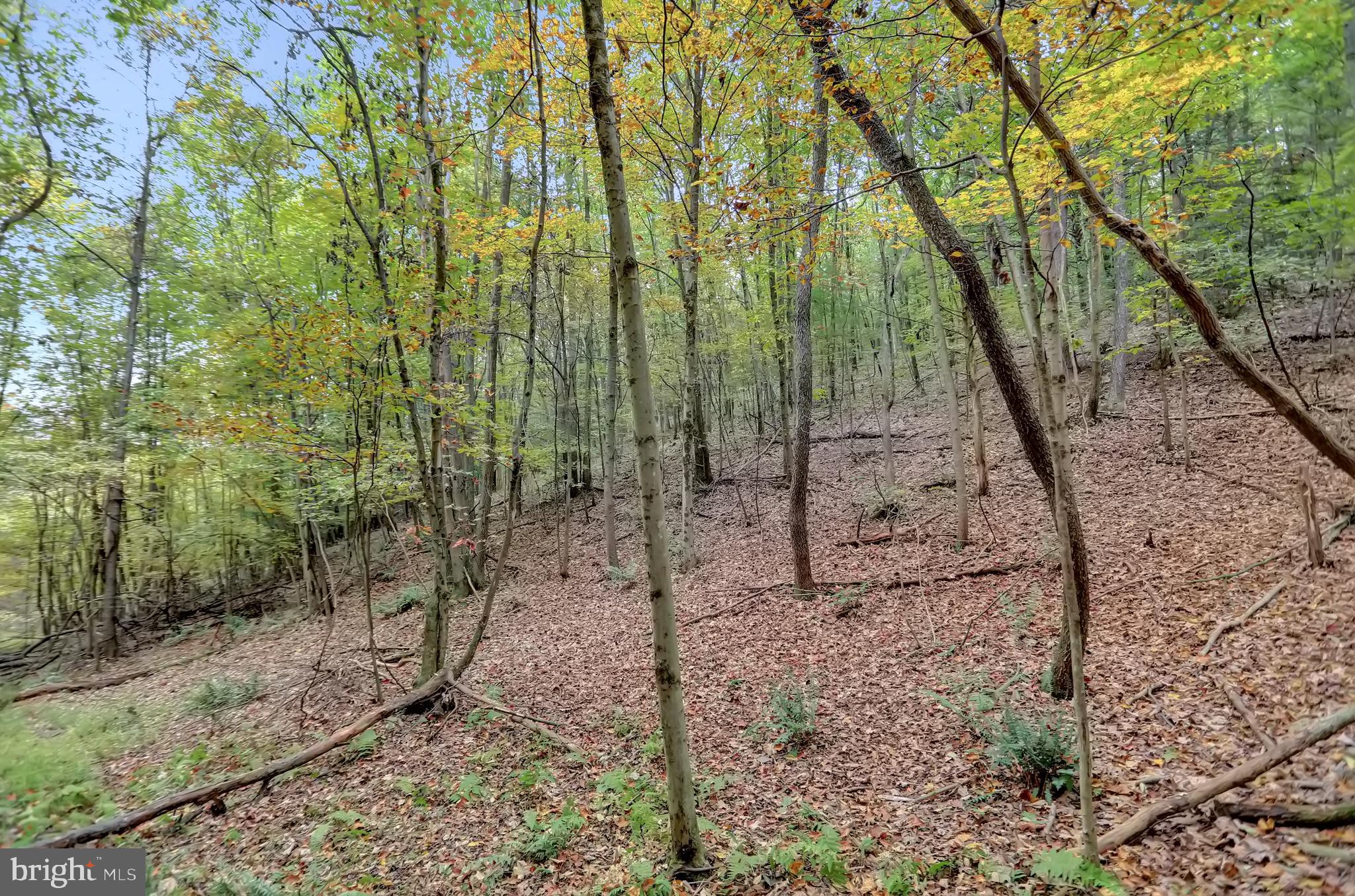 NONE AVAILABLE - Land