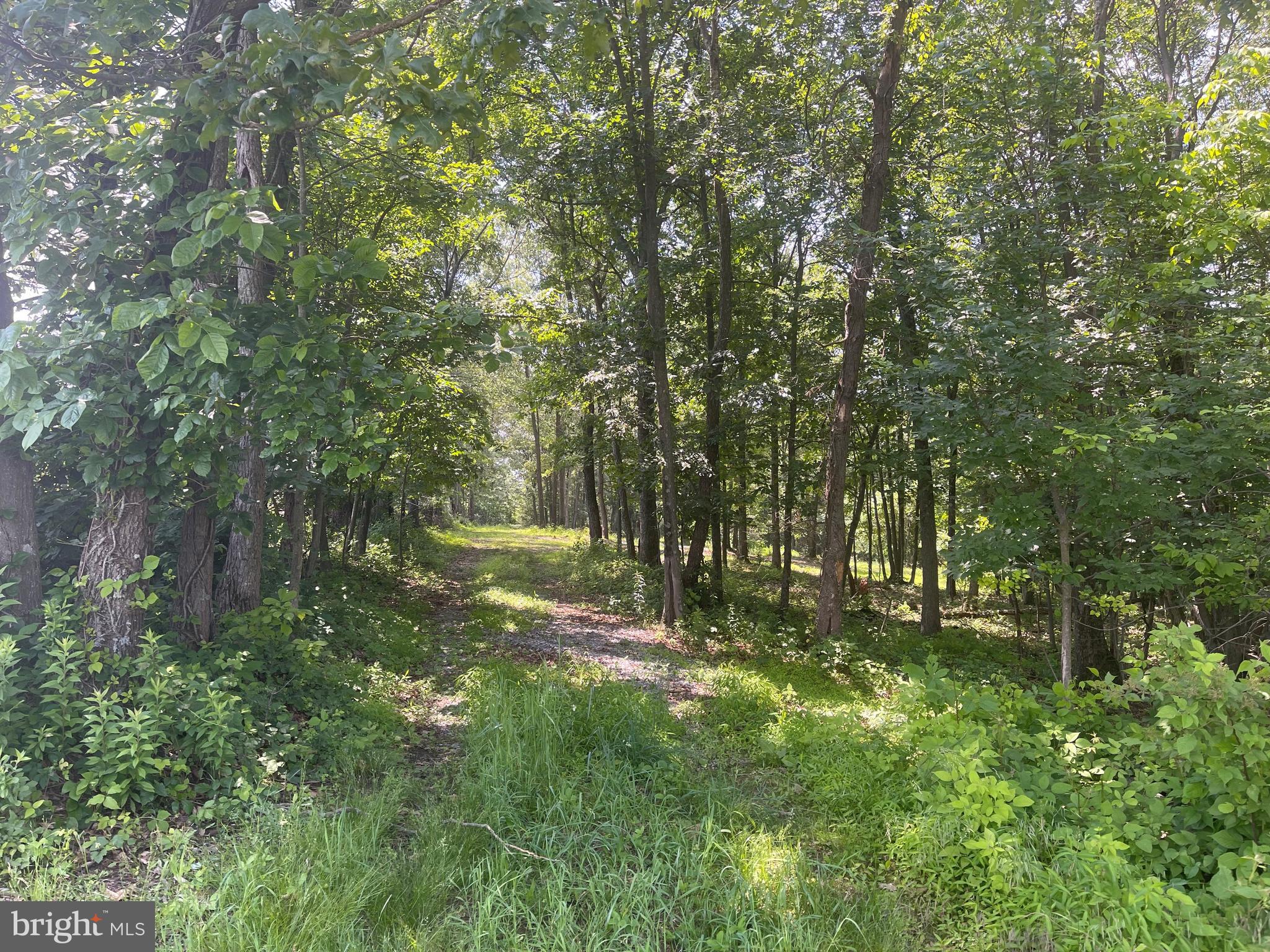 NONE AVAILABLE - Land