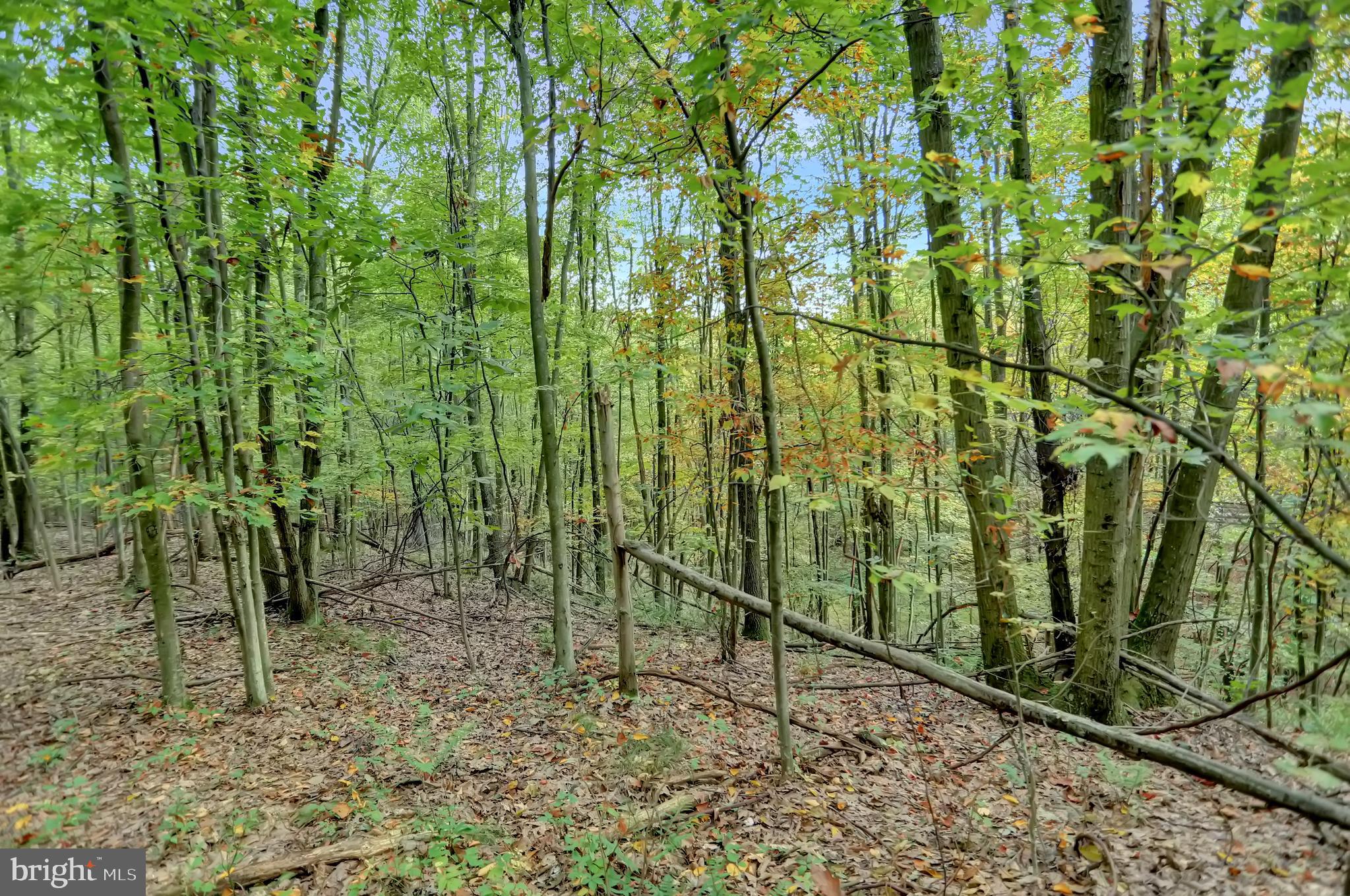 NONE AVAILABLE - Land