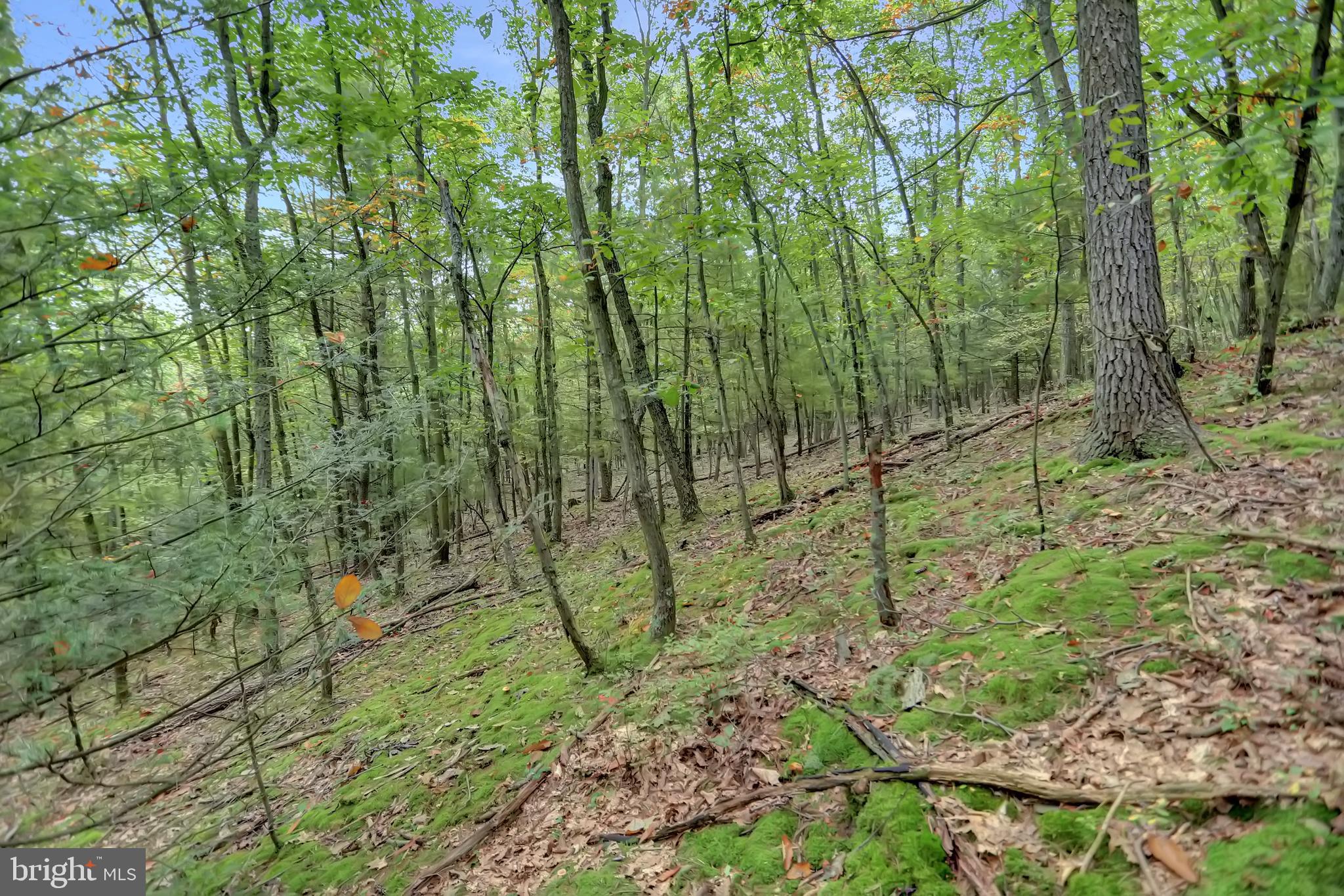 NONE AVAILABLE - Land