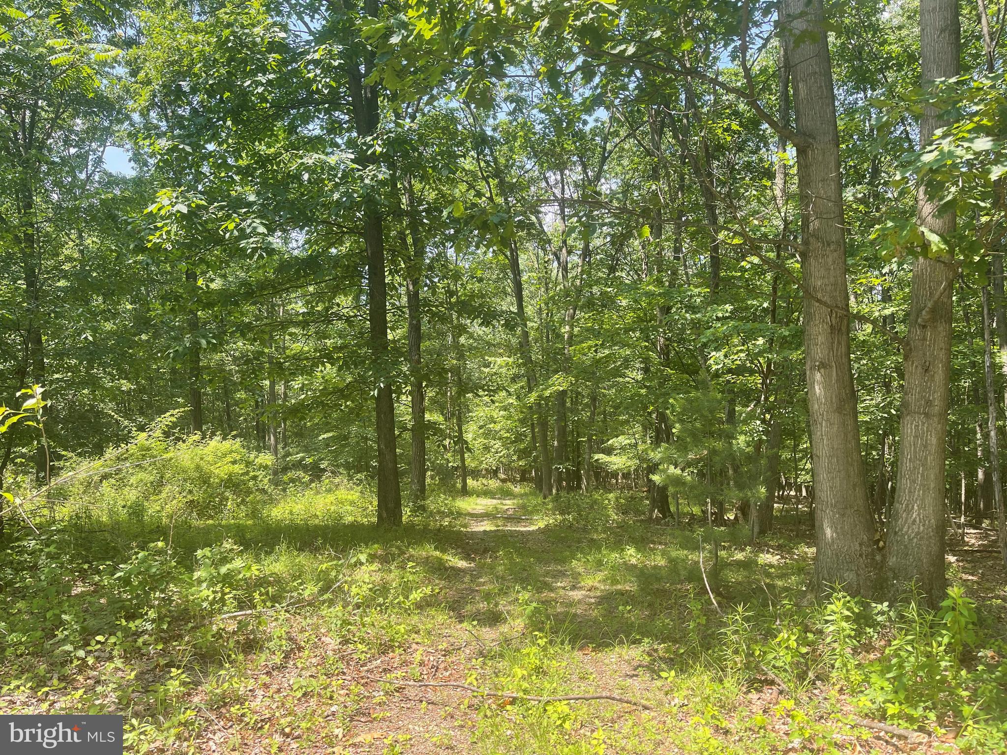 NONE AVAILABLE - Land