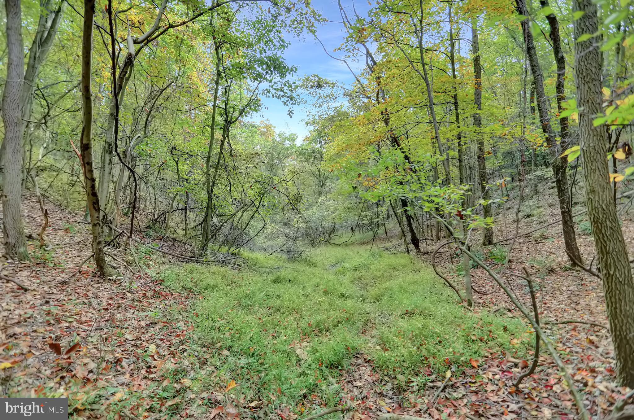 NONE AVAILABLE - Land