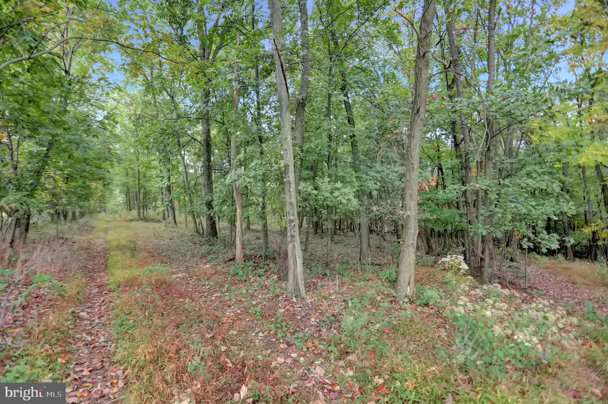 NONE AVAILABLE - Land