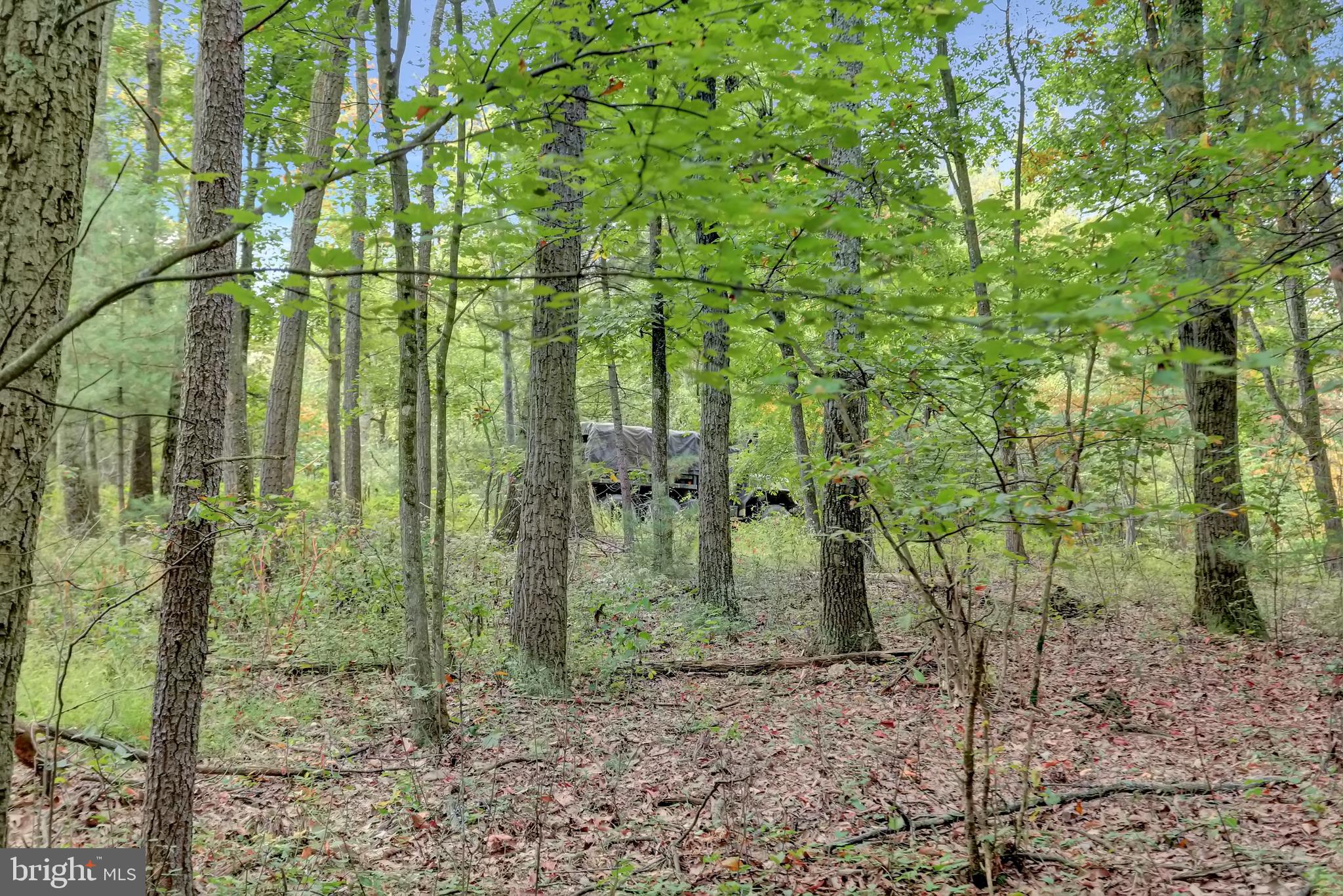 NONE AVAILABLE - Land