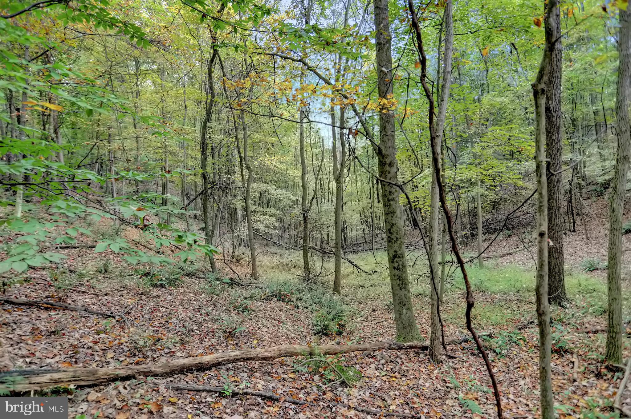 NONE AVAILABLE - Land