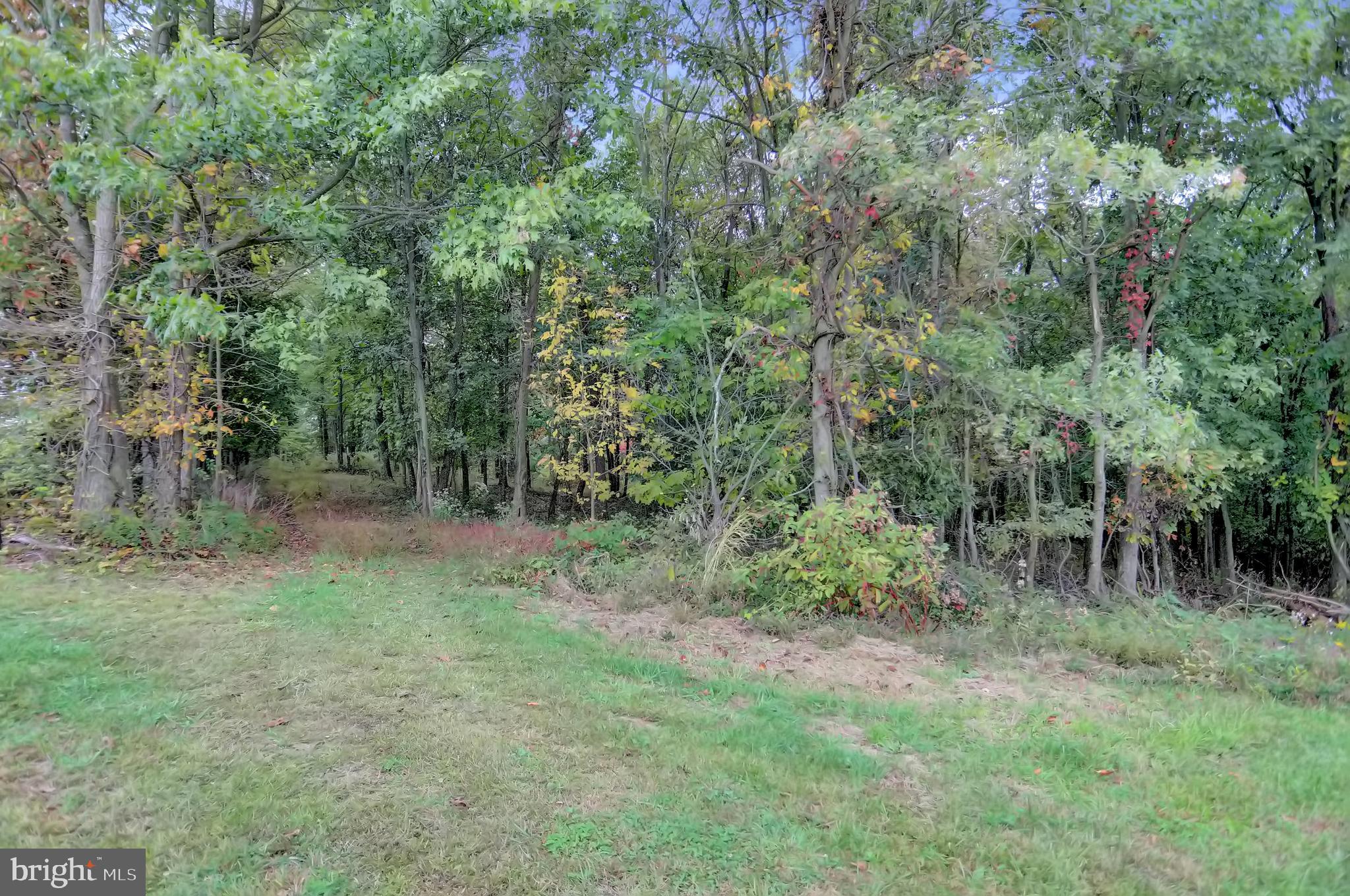 NONE AVAILABLE - Land