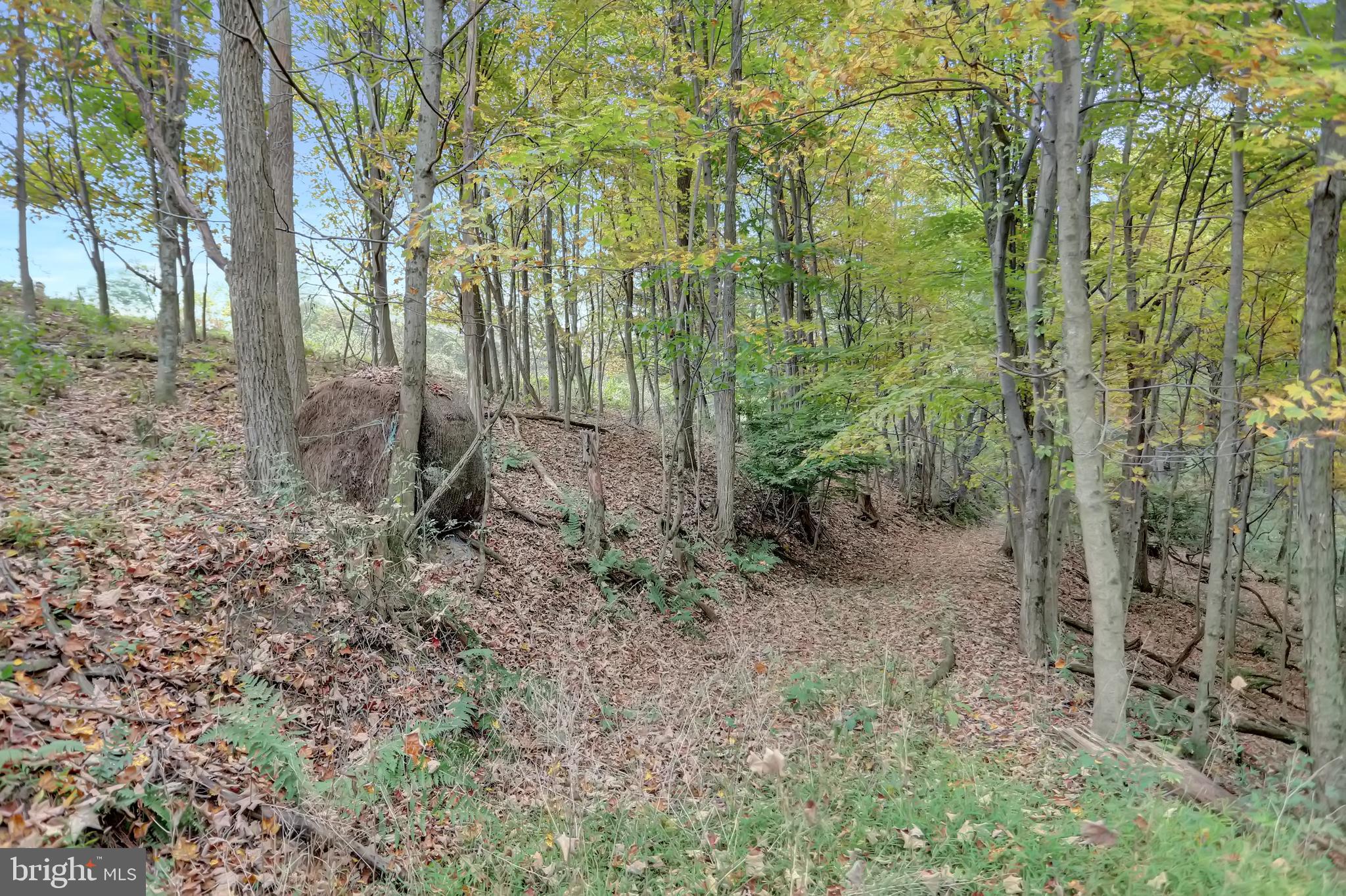 NONE AVAILABLE - Land