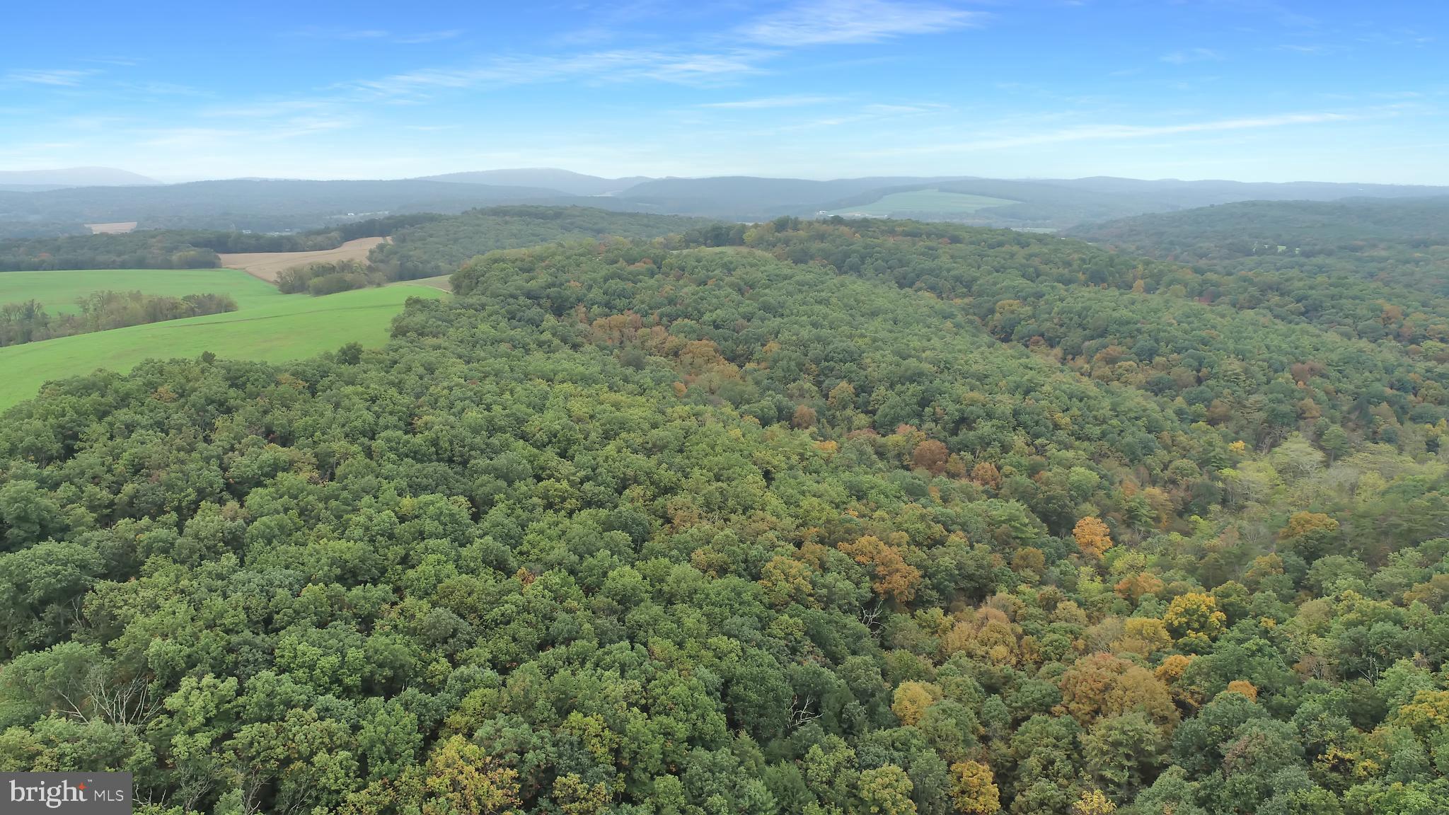 NONE AVAILABLE - Land