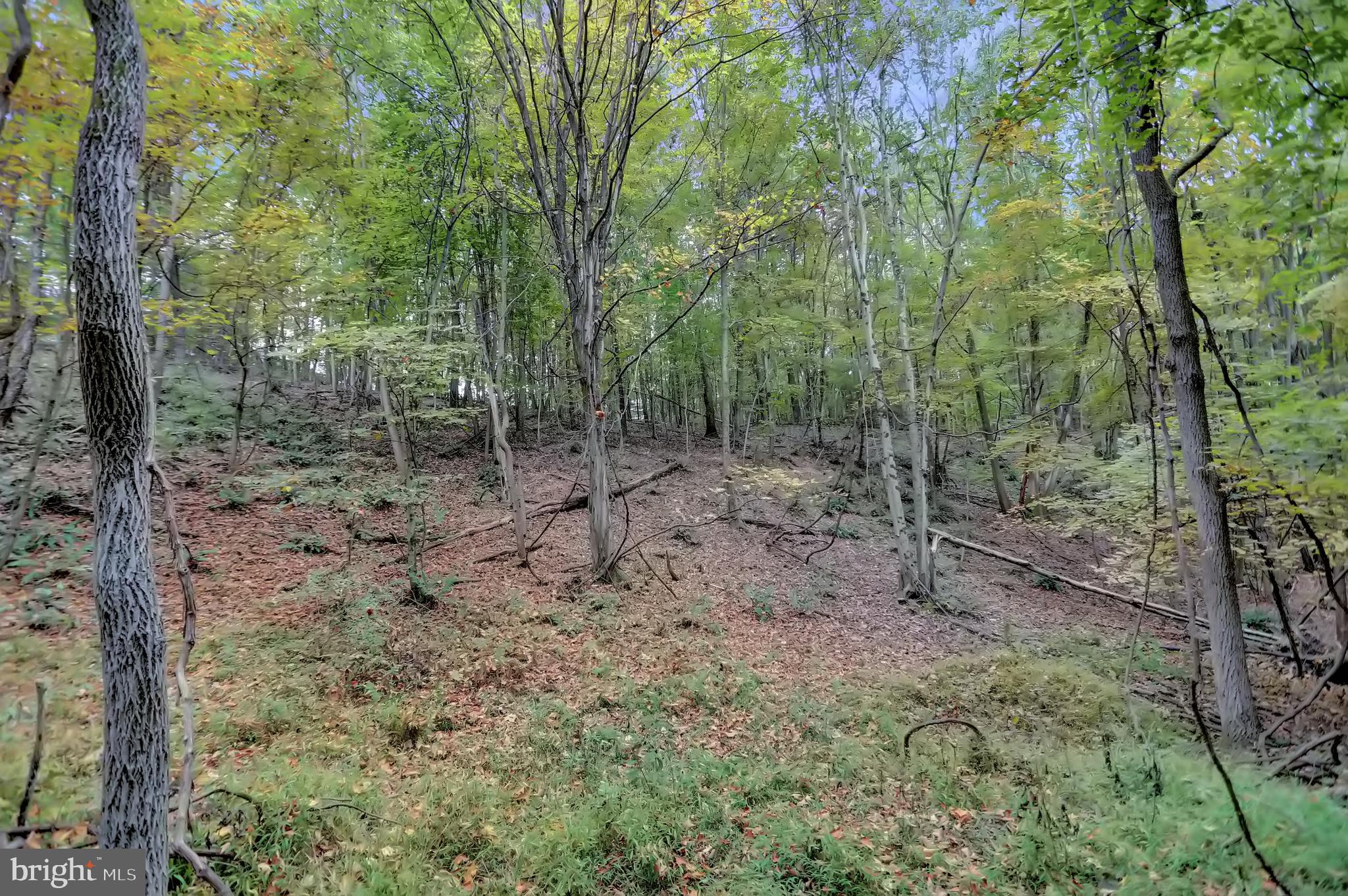 NONE AVAILABLE - Land