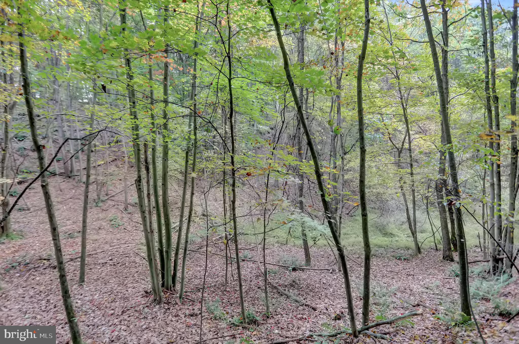 NONE AVAILABLE - Land