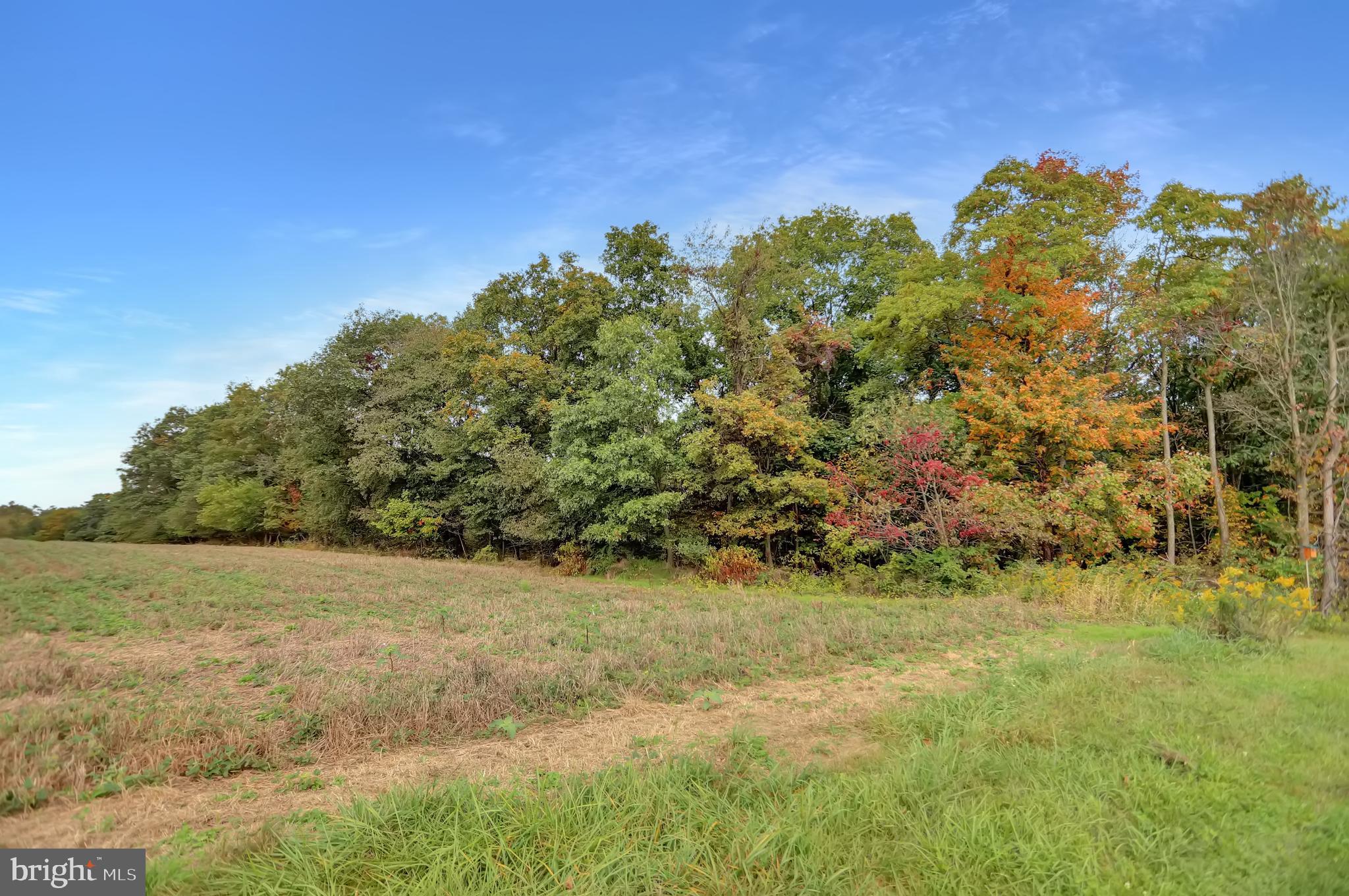 NONE AVAILABLE - Land