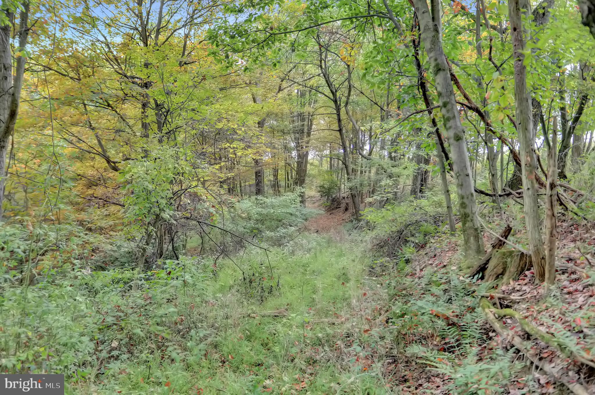 NONE AVAILABLE - Land