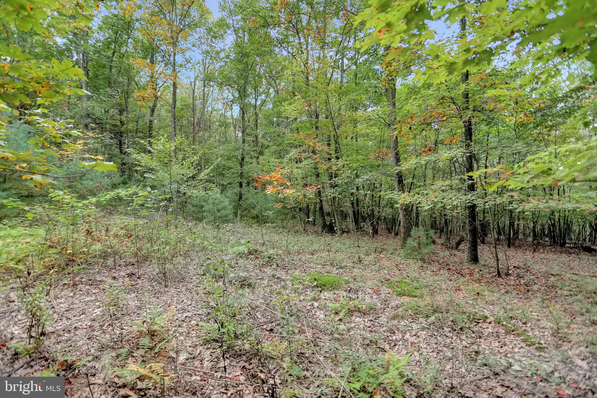 NONE AVAILABLE - Land