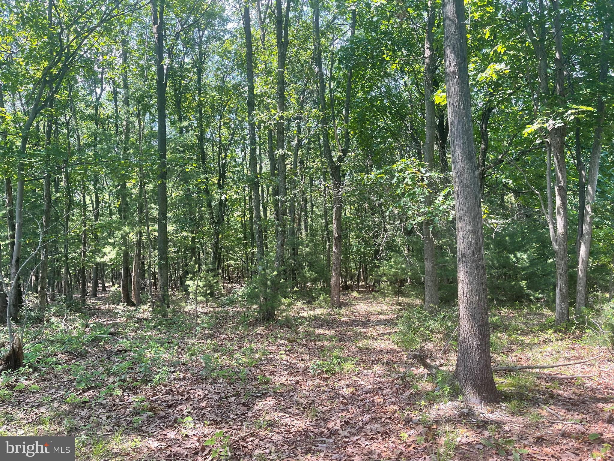 NONE AVAILABLE - Land