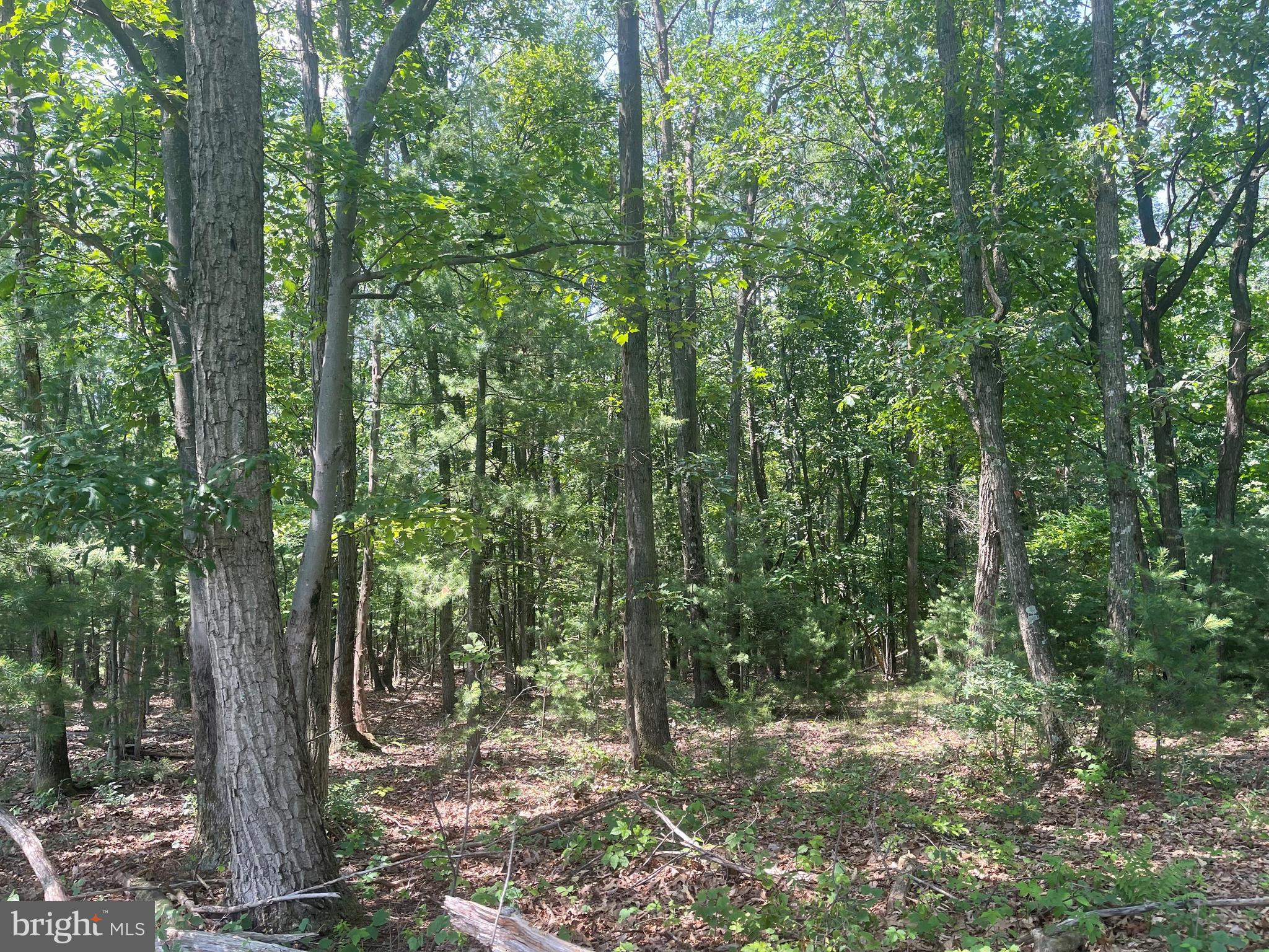 NONE AVAILABLE - Land