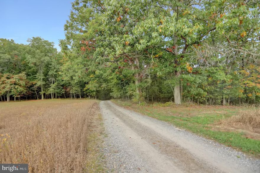 Two Woodlots, Greenwood Township Juniata County. Secluded 63.70 acres with perk and septic design for building dream home. Deeded Right of Way. Established riding and walking trails. Stream and Spring on site with no deed restrictions and use builder of buyers choice. Other financing Available.