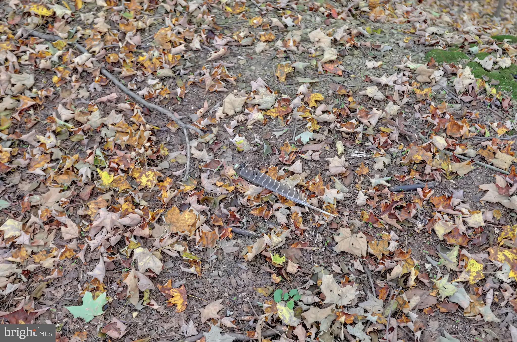 NONE AVAILABLE - Land